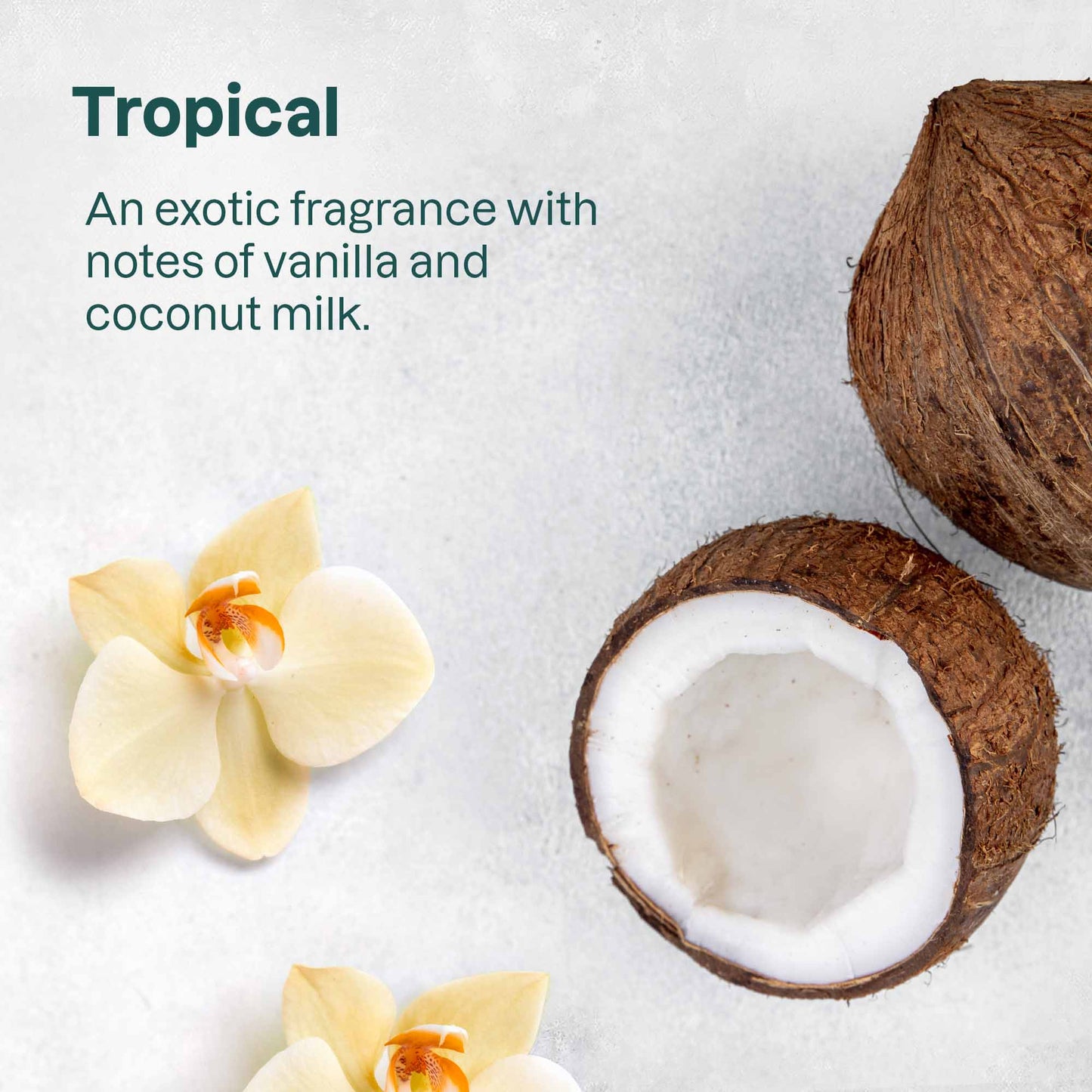 Plastic-free mineral sunscreen stick SPF 30 Tropical